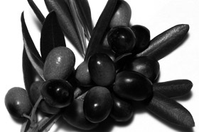 olive